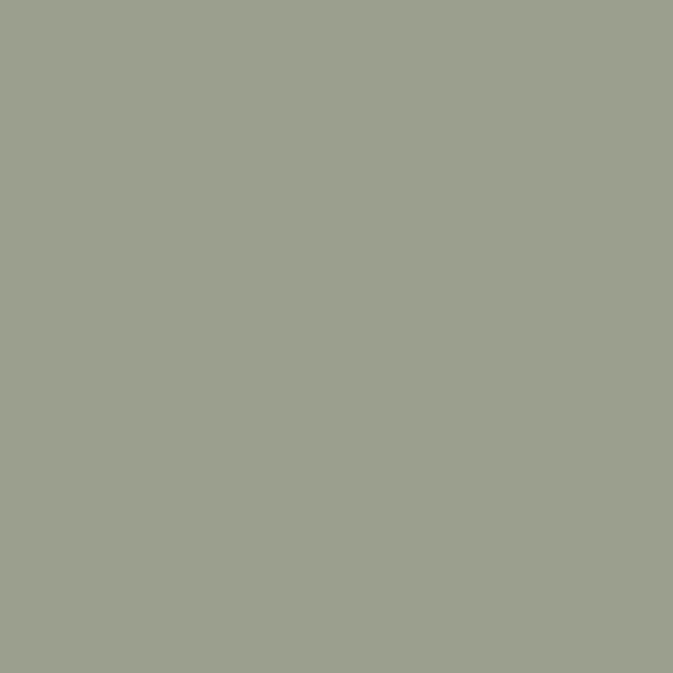 Posidonia Green Quartz Countertop Example
